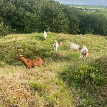 Hus Heideblick -zwischen Und Nordsee- Ferienhaus Sankt Michaelisdonn