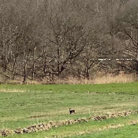 Hus Heideblick -zwischen Und Nordsee- *